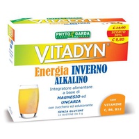 Vitadyn Energia Inverno 14 saquetas - Phyto Garda