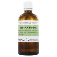 Chemotypisiertes ätherisches Öl der Pfefferminze - Luftteil
