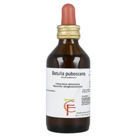 Abedul pubescens 100 ml - Centofiori | Natural Doctor