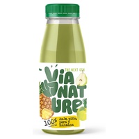 Suco detox de frutas e vegetais 250 ml - Via Nature