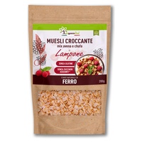 Bezlepkový müsli s topinamburem a ovsem s malinou eco