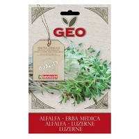 Sementes de Alfalfa 40 g - Geo