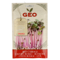 Sementes de Couve Lombarda para Germinar 12 g - Geo