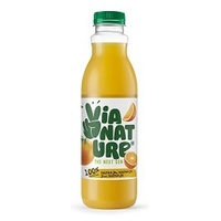 suco de laranja 750 ml (Laranja) - Via Nature