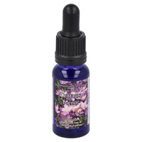 Centaura menor luz 15 ml - Phytovit | Natural Doctor