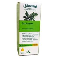 Encens Ae boswellia carterii