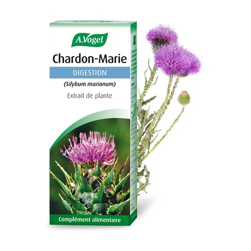 Buy Chardon Marie digestion 50 ml A.Vogel | Naturitas