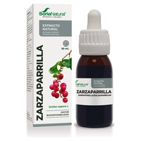 Extrakt ze sarsaparilly (receptura xxi)