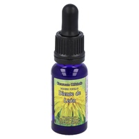 Esencia taraxacum luz (Diente de león) 15 ml - Phytovit | Natural Doctor
