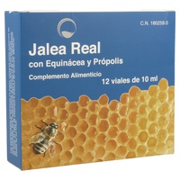 Jalea Real con Equinácea y Própolis 12 viales - Cooper Pharma | Natural Doctor
