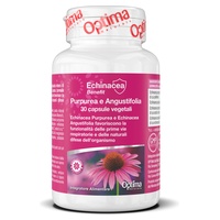 Echinacea