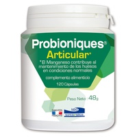 Probioniques Articular 120 cápsulas - Labo Sante Silice | Natural Doctor