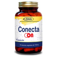 Conecta-on memória és kognitív funkció