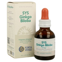 Sys ginkgo biloba cirkulation