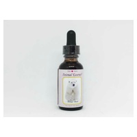Esencia animal de oso polar 30 ml - Wild Earth Animal Essences | Natural Doctor