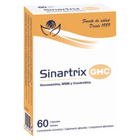 Sinartrix Gmc