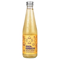 Comida Kombucha Original com Gengibre e Açafrão 330 ml - Víver Kombucha