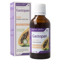 Gastopan