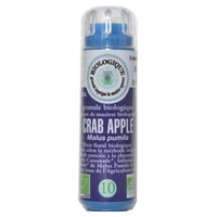 Manzana silvestre / Manzana de cangrejo 130 gránulos 130 gránulos - Kosmeo | Natural Doctor
