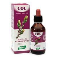 Zefirus Col 100 ml - Santiveri | Natural Doctor
