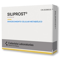 Siliprost metabolism