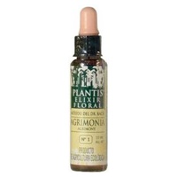 Agrimonia 1 Eco (Agrimony) 30 ml de elixir floral - Plantis | Natural Doctor