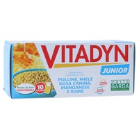 Vitadyn junior 10 viales - Phyto Garda | Natural Doctor