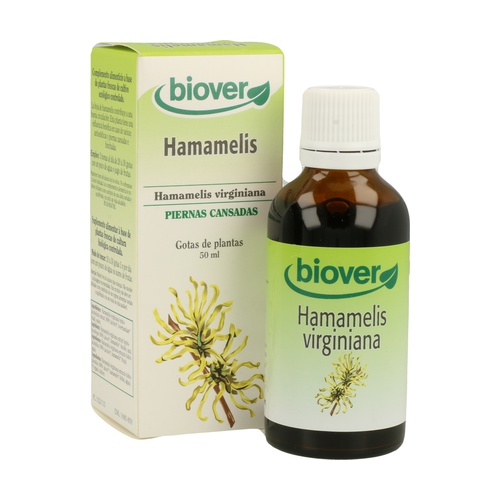 Venas varicosas utiliza hamamelis