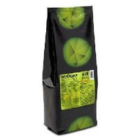Wheyghty Protein 80 - Avellanas 750 g de polvo - +Watt | Natural Doctor