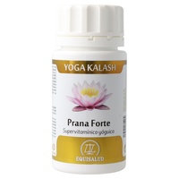 Yoga Kalash Prana Forte (supervitamin)