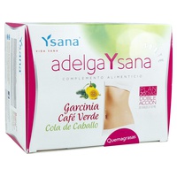 Adelgaysana Forte (Plan 20 dias Doble Acción) 20 viales de 10ml - Ysana | Natural Doctor