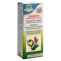 Dry Silk Shampoo med Aloe Vera