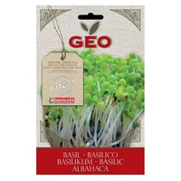 Manjericão para Germinar 10 g - Geo