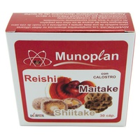 Munoplan råmjölk, reishi, maitake och shiitake