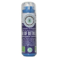 Ornithogale / Star of Bethlehem 130 gránulos 130 gránulos - Kosmeo | Natural Doctor