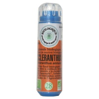 Flor de Bach 28 Scleranthus 130 grânulos - Kosmeo