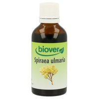 Spiraea Ulmaria (ängarnas drottning)