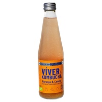 Kombucha de laranja e canela 330 ml (Laranja - Canela) - Víver Kombucha