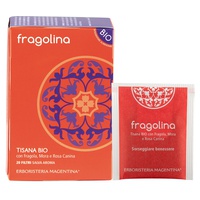 Tisana Fresa Salvaje 20 bolsitas infusoras - Erboristeria Magentina | Natural Doctor