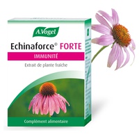 Echinaforce Forte comprimidos 30 comprimidos sublinguales - A.Vogel | Natural Doctor