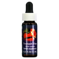 Videira trombeta 7,5 ml de óleo essencial - Flower Essence