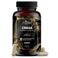 Chaga száraz kivonat 500 mg