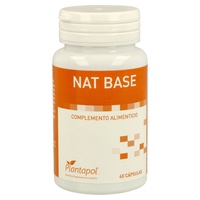 Nat base