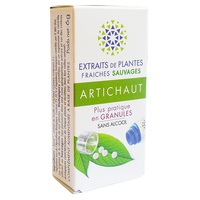 Extrait de plantes fraîches Artichaut sauvage