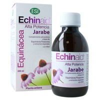 Echinaid sirap