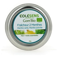 Caramelos Gom bio Frescura dos mentas 45 g (Menta) - Eolesens | Natural Doctor