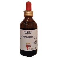 Sequoia (Sequoia gigantea) 50 ml - Centofiori | Natural Doctor