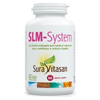 Slm system