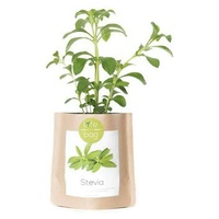 Stevia-Grow Bag 300 g - Life in a bag