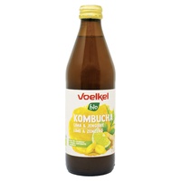 Bio kombucha s limetkou a zázvorem